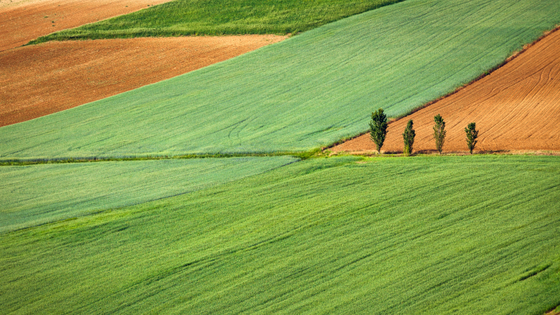 The world’s food crisis: too late to avoid the hunger, but can we still ...